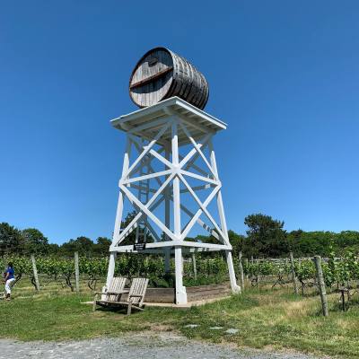 Truro Vineyards in Massachusetts
