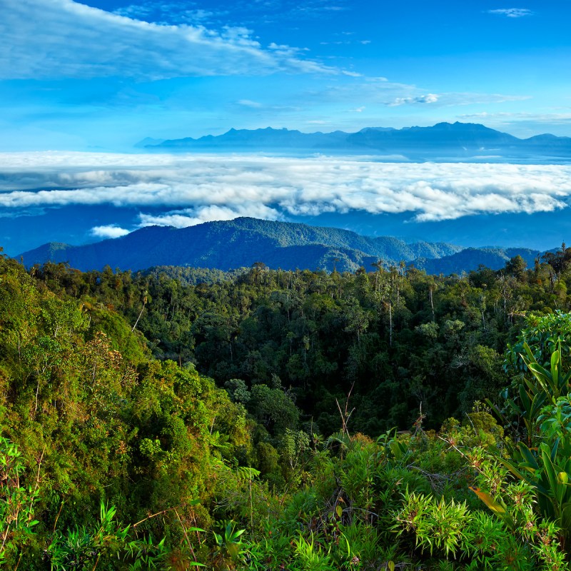 The view from Cerro Montezuma in Tatama National Park