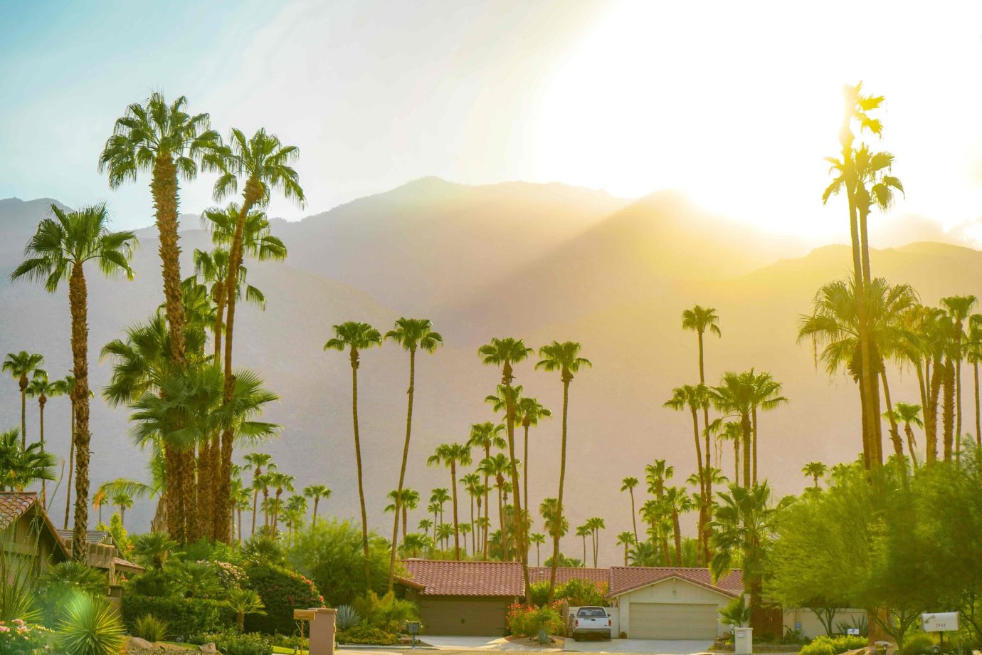 Palm Springs, CA sunset with mountains and palm trees