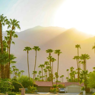 Palm Springs, CA sunset with mountains and palm trees