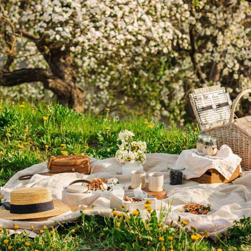 Picnic during a beautiful spring day