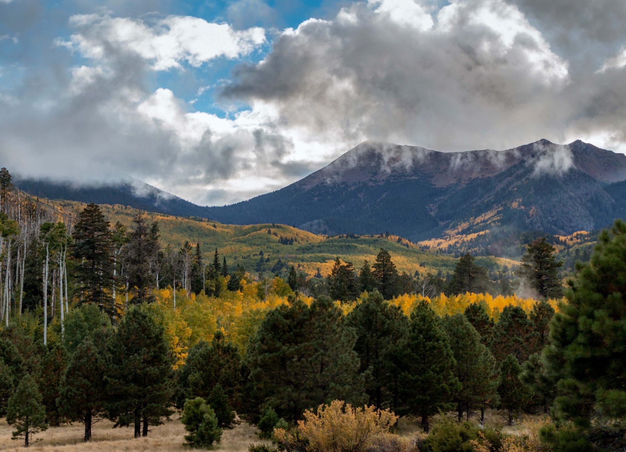 View of San Francisco Peaks from Flagstaff, Arizona