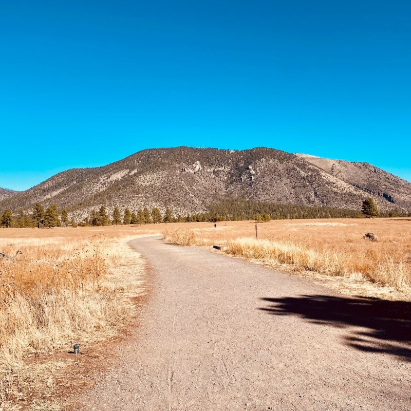 Buffalo Park Hiking Path, Flagstaff, Arizona