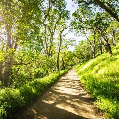 Hiking trail in Concord, California