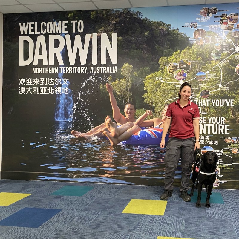 Detector dog Zinta at Darwin Airport