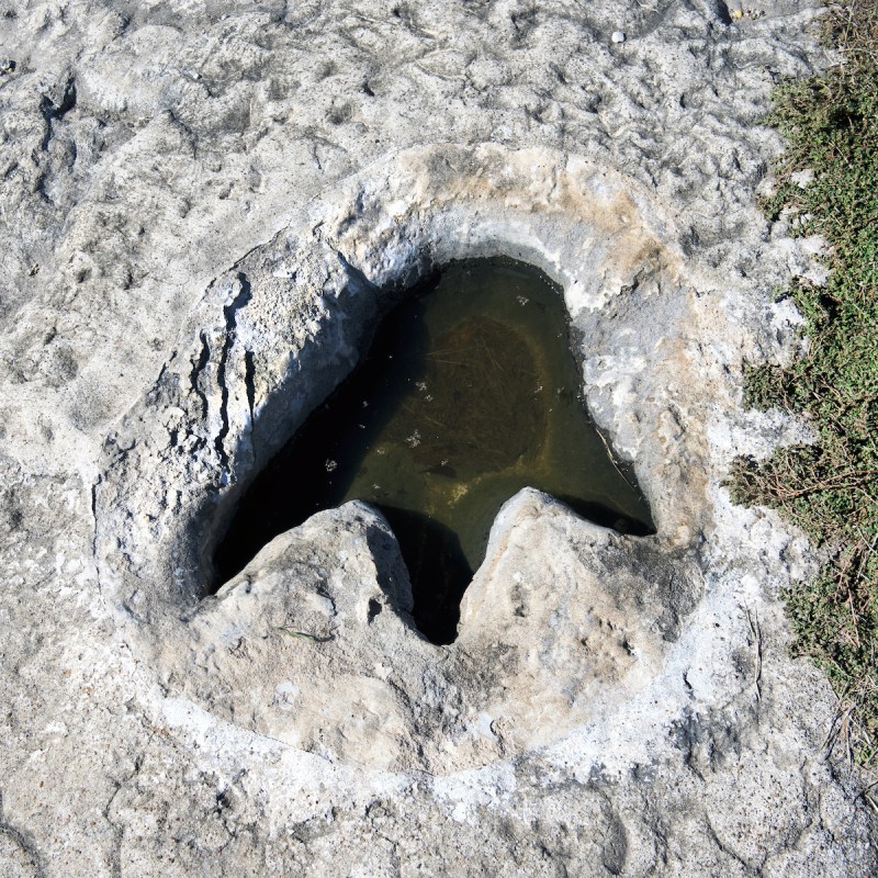 Dinosaur Valley State Park