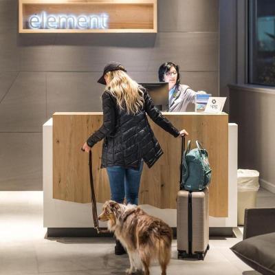 Element by Westin customer arriving with her dog.
