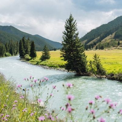 Summer Along the Gallatin River