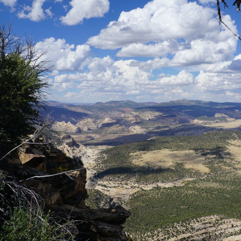 Harpers Corner Trail, Colorado