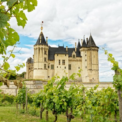 Vineyard in front of Saumur Castle in Loire, France