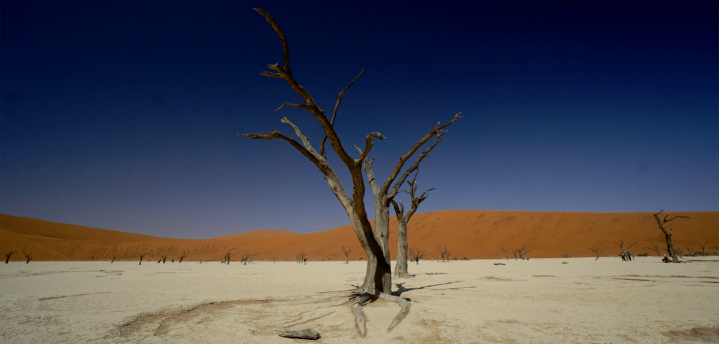 Dead acacia trees and sand dunes inSossusvlei, Namibia, inside Namib-Naukluft National Park.