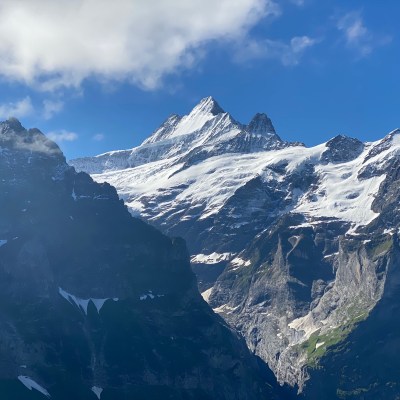 Swiss Alps and Bernese Alps