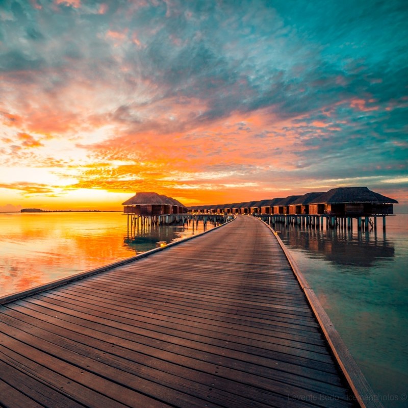 A boardwalk of over-the-water bungalows