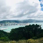 Wellington Harbor from Mount Victoria