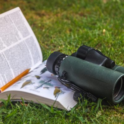 Binoculars and birding book while birdwatching