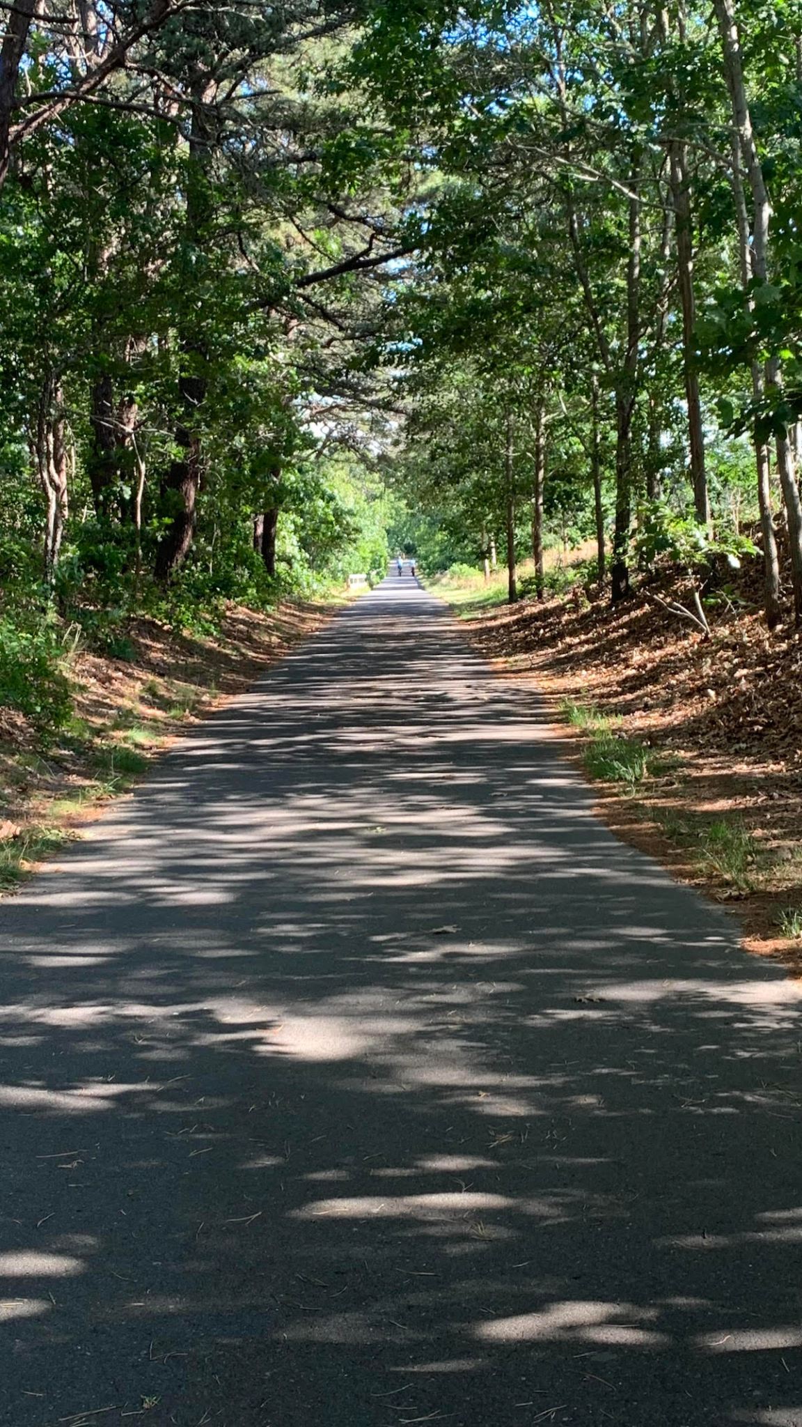 19 Best Places to Visit in the Fall East Coast Perfect Getaways