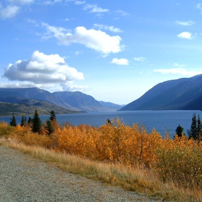 The Klondike Highway during autumn