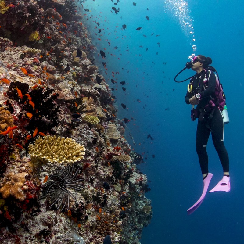 Scuba diving in the Maldives