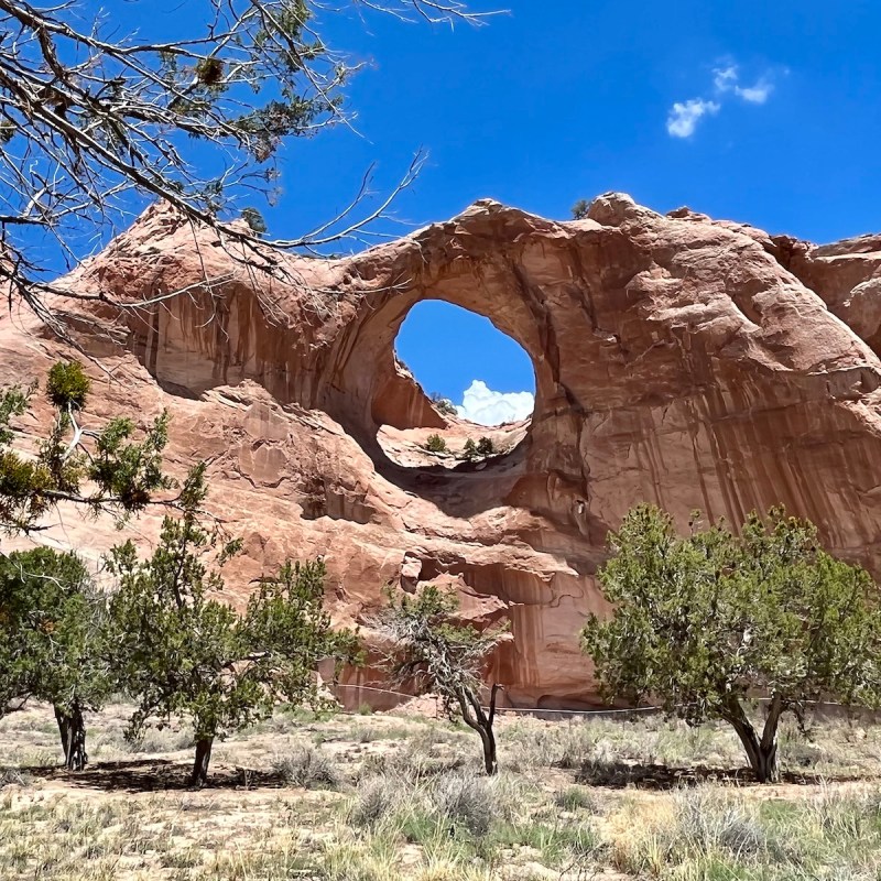 Window Rock, New Mexico