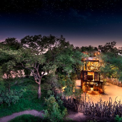 The night stars at Ngala Treehouse