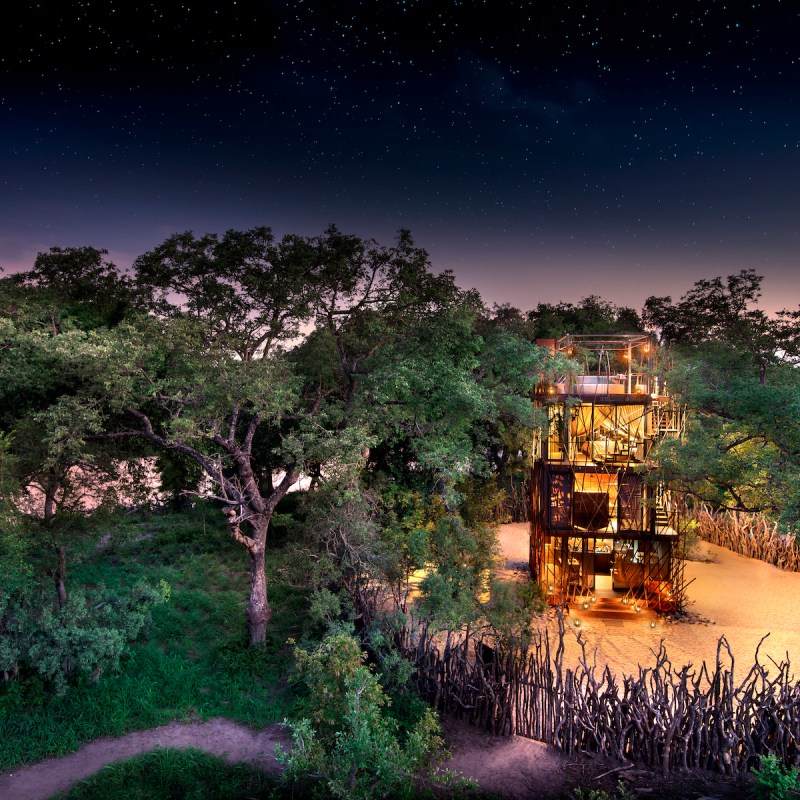 The night stars at Ngala Treehouse