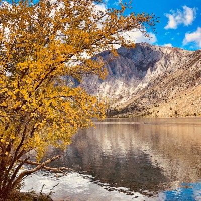 Fall foliage at Convict Lake along the Eastern Sierra in California.