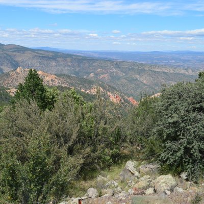 Gila National Forest view from cliff dwellings