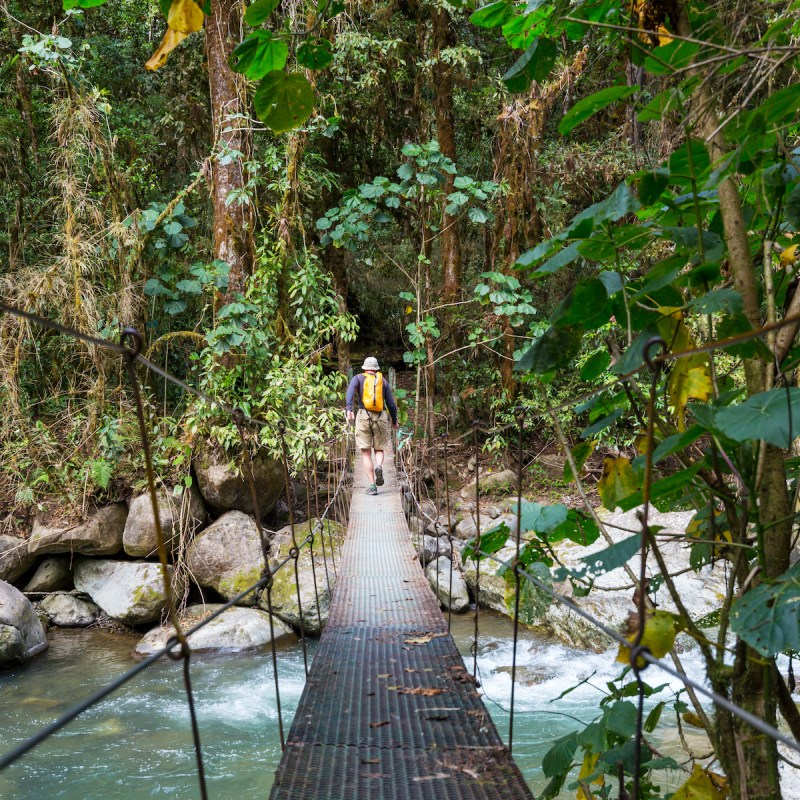 Man walking across a hanging bridge in the Costa Rican jungle.