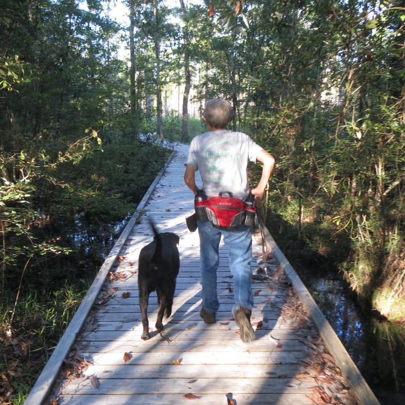 The author's dog, Archer T. Dog, on a hike.