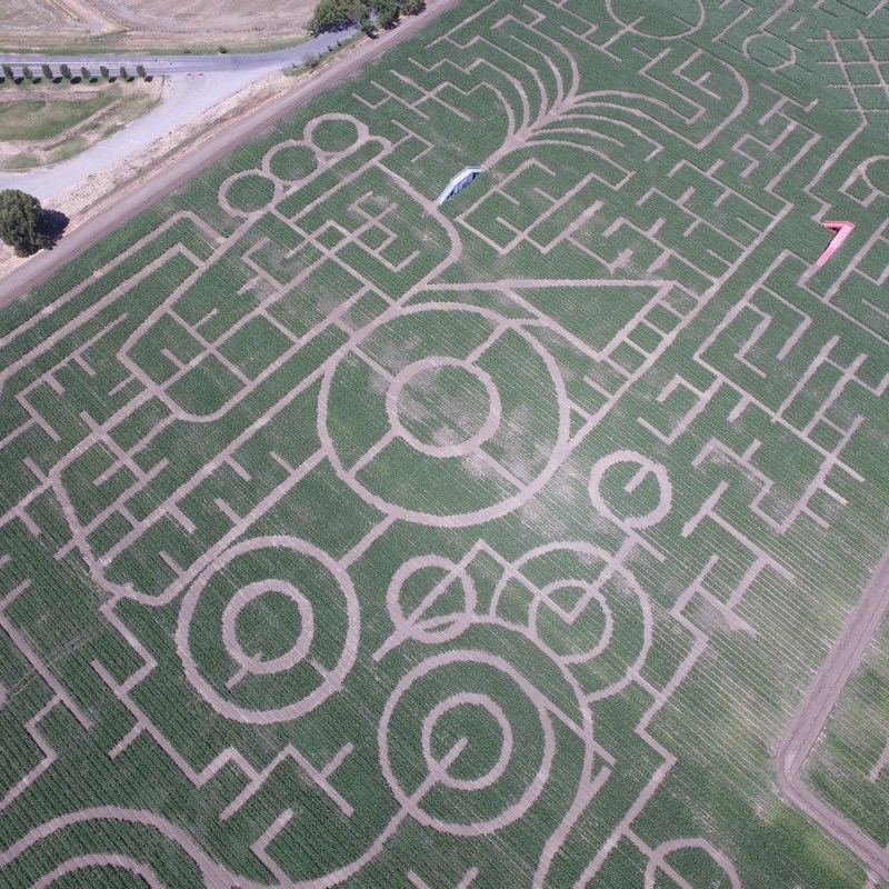world's largest corn maze in California