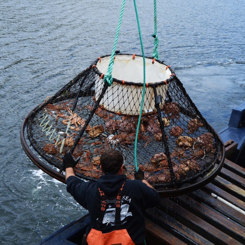 A fisherman off the coast of Alaska