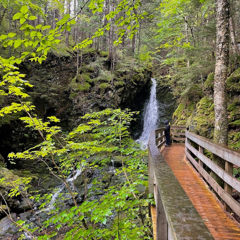 Dickson Falls in Fundy National Park