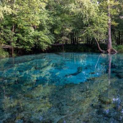 Ginnie Springs, Florida