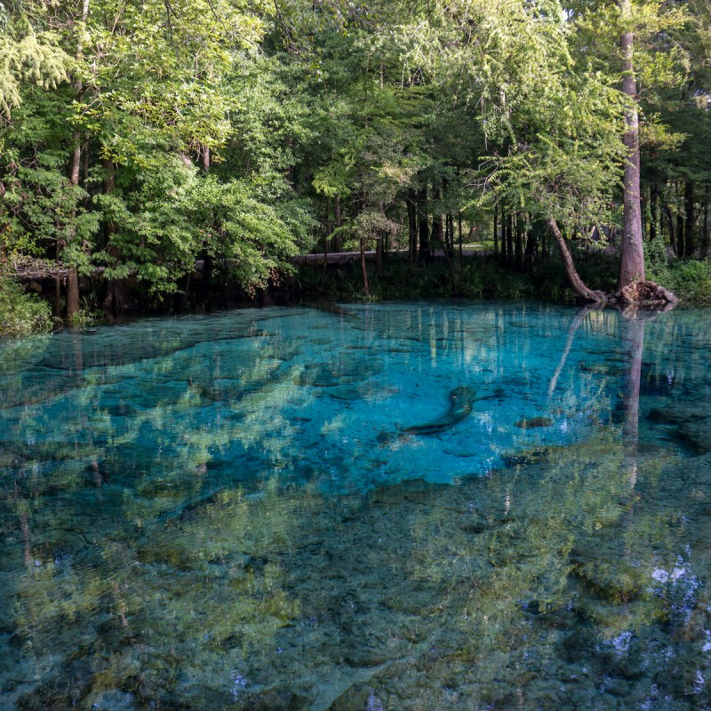 6 Fabulous Experiences In Beautiful Ginnie Springs TravelAwaits