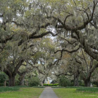 Brookgreen Gardens, South Carolina