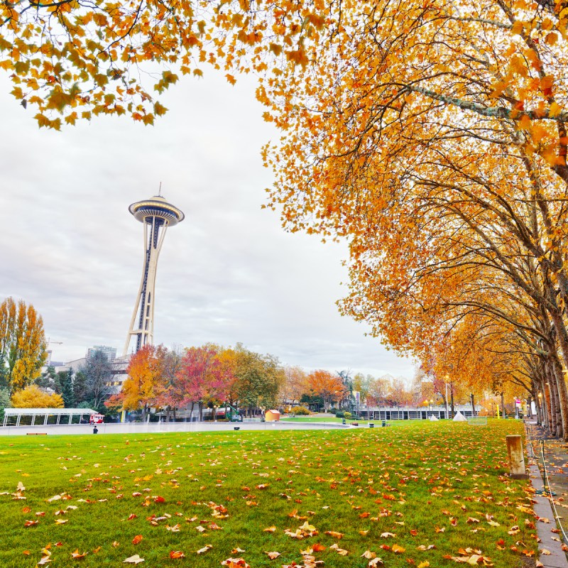 An autumn day near the Seattle Space Needle