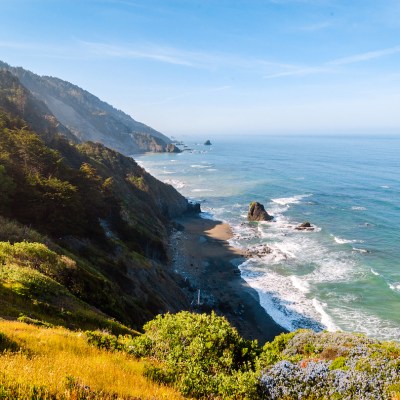 rugged coastline of Redwood National Park