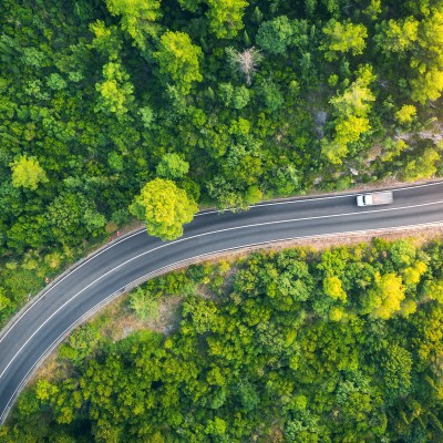 Aerial view of road in beautiful green forest at sunset in spring