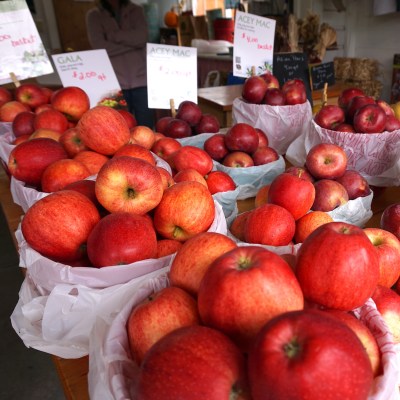 Bags of colorful apples for sale at Youngman Orchards in Sodus, New York.