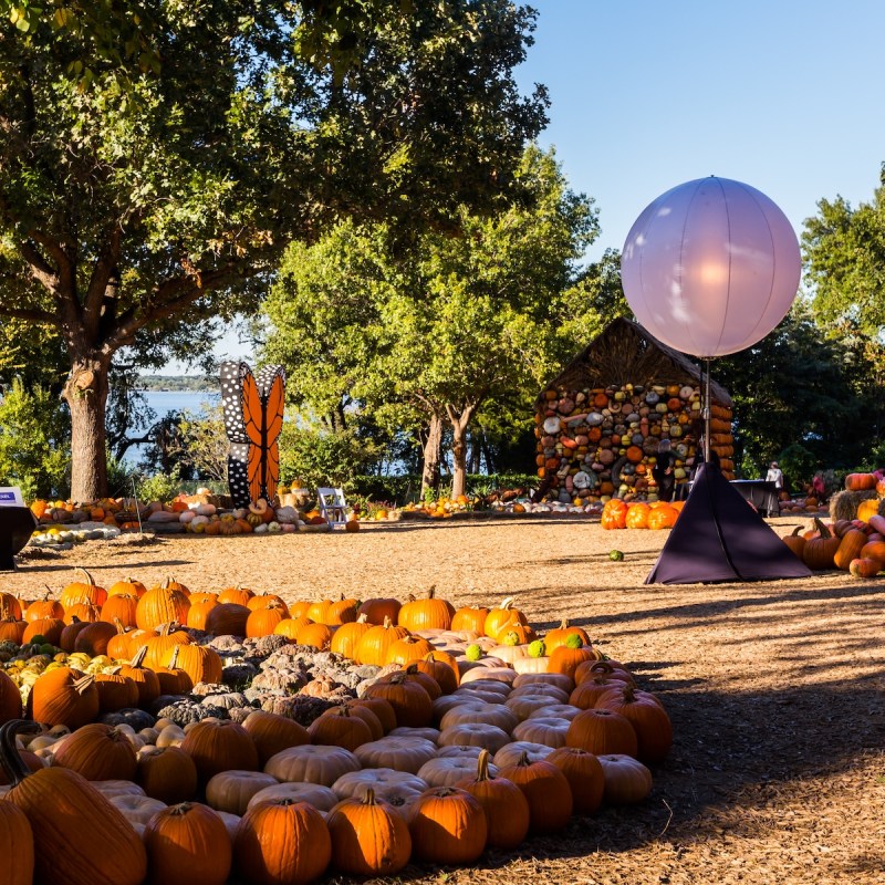 The Dallas Arboretum in October