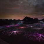 "Field of Lights" by Bruce Munro in Austin, Texas.