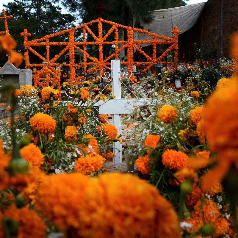 Marigold flowers on Day of the Dead