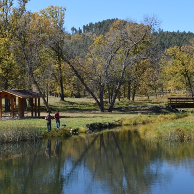 A popular pond at Custer State Park in the heart of the Black Hills