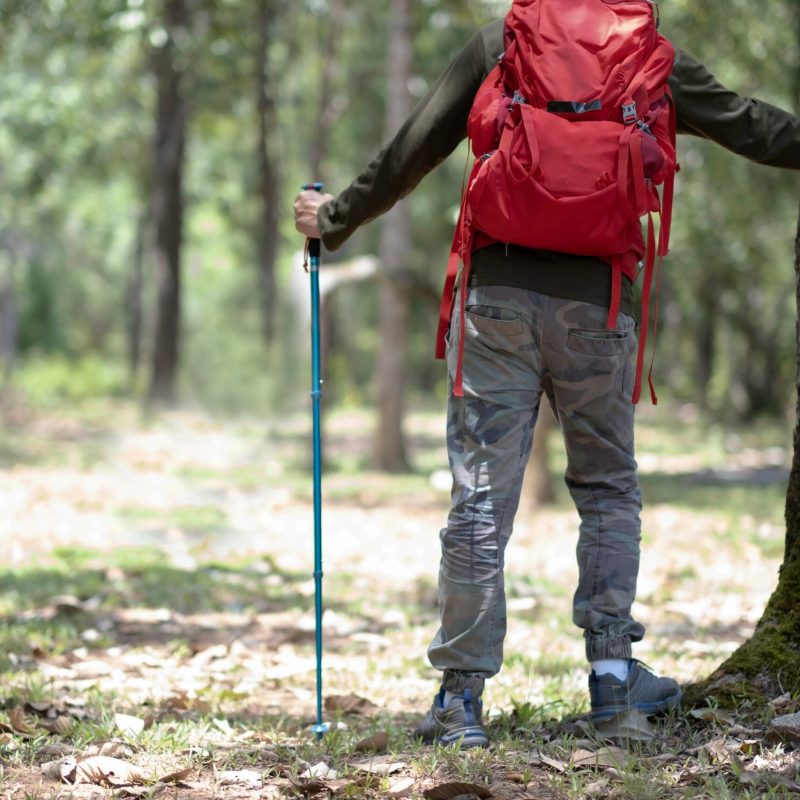 man hiking in forest
