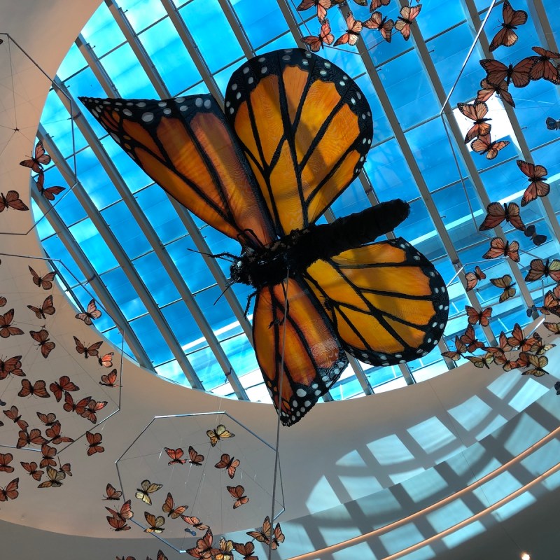 "Kaleidoscope" by Christopher Lutter-Gardella at the Mall of America