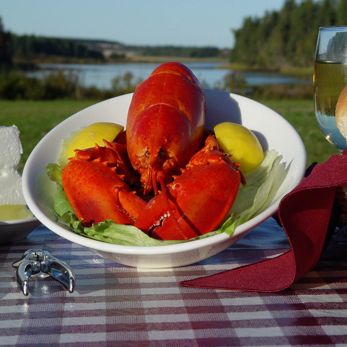 Lobster from New Glasgow Lobster Suppers