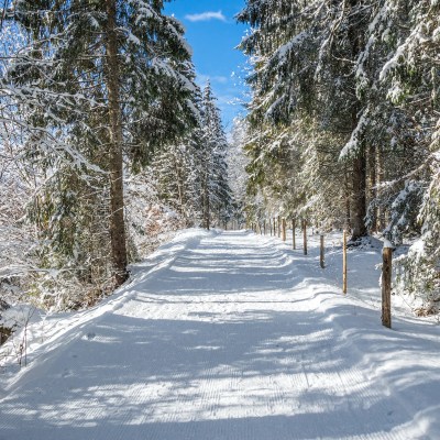Snow-covered hiking trail