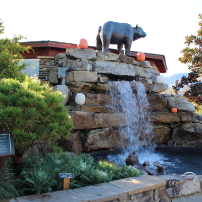 black bear statue towers over waterfall at Anakeesta entrance