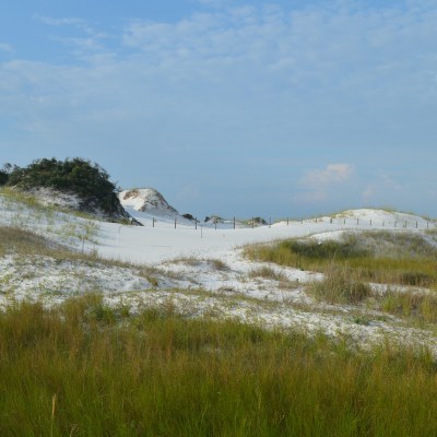 Sand dunes in Gulf Island National Seashore