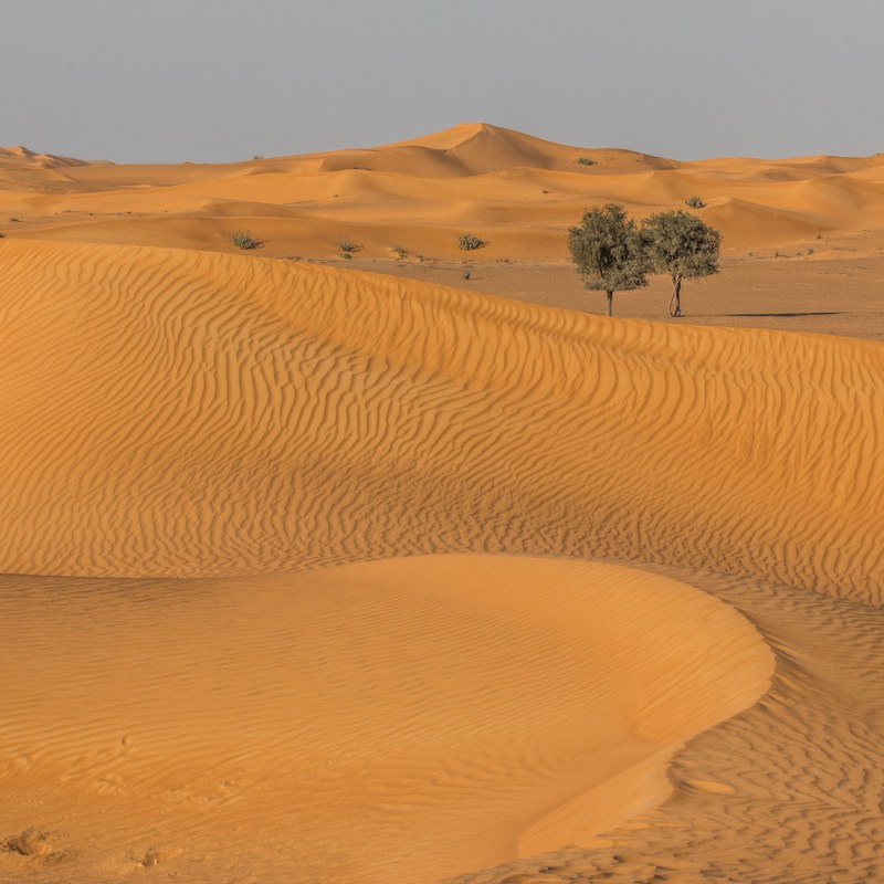 desert in the UAE